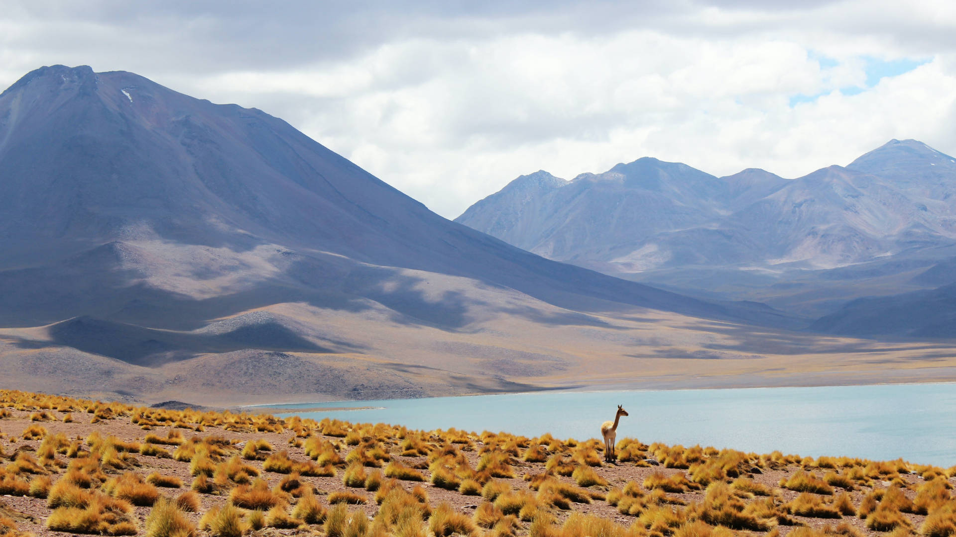 Custom Travel Planner Network-Chile-Los Flamencos National Reserve