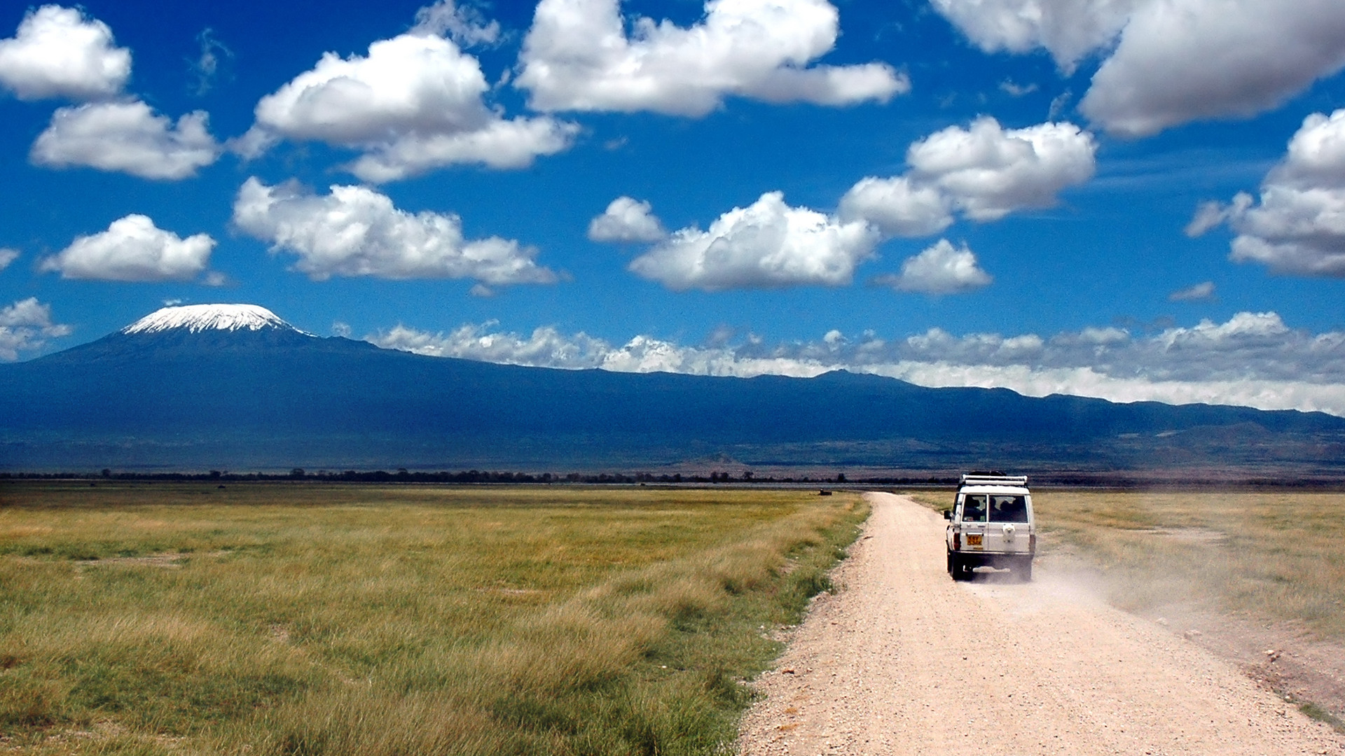 Custom Travel Planners Network-Kenya-Jeep Safari